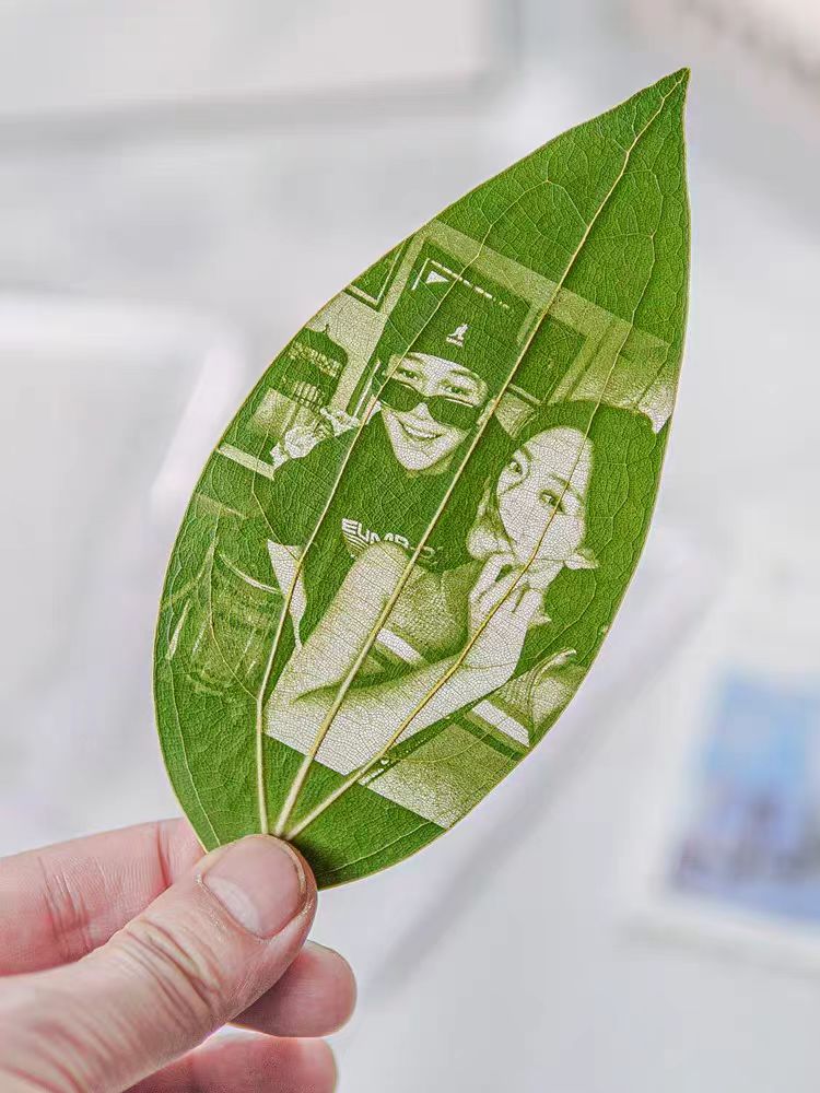 peace leaves portrait 1.jpg